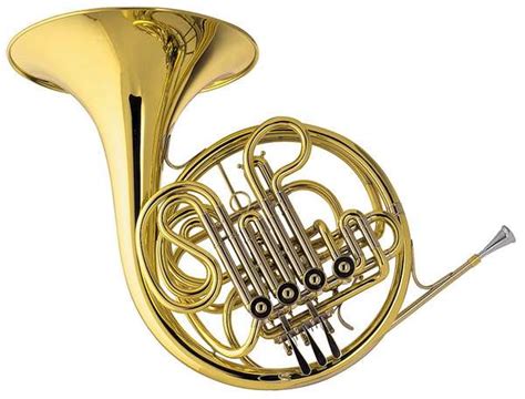 gallery  double horn
