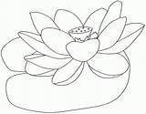 Lotus Flower Coloring Color Drawing Popular Getdrawings Template Coloringhome sketch template