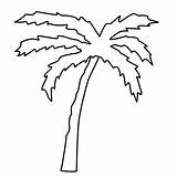 Palm Tree Coloring Template Leaf Leaves Clipart Clip Trees Branch Pages Gif Cliparts Palmtree Comments Library Kids Clipartbest Painting sketch template