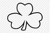 Clover Leaf St Three Coloring Patricks Templates Common Clipart sketch template