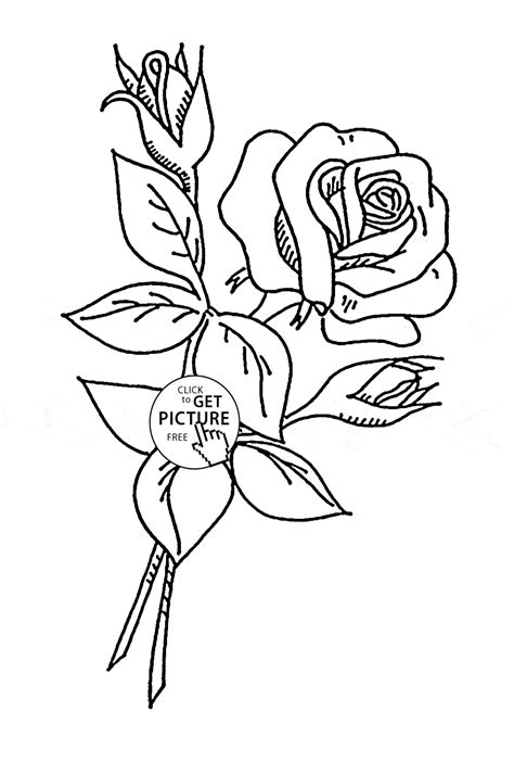 pin  flowers coloring pages