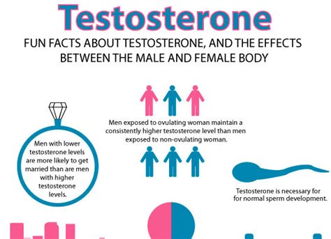 What Causes Low Testosterone Dr Sam Robbins