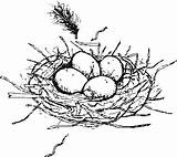 Nest Eggs sketch template