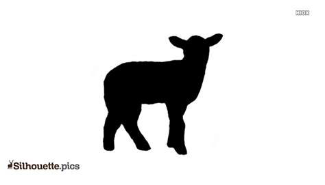 lamb silhouette images