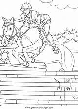 Springreiten Springpferd Equitazione Malvorlage Disegno Pferde Ausmalen Malvorlagen Mit Verschiedene Sportarten Stampare Kategorien sketch template