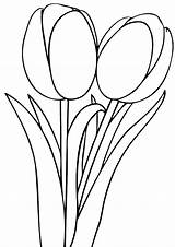 Tulipe Coloriage Coloriages Dessin Colorier sketch template