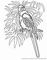 Coloring Pages Hawaiian Macaw Printable Hawaii Kids Parrot Birds Luau Sheets Print Bird Colouring Color Fun Games Adult Printables Board sketch template