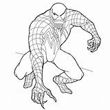 Venom Spiderman Raskrasil sketch template