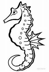 Seahorse Coloring Pages Realistic Brown Clipart Bear Drawing Color Carle Eric Outline Printable Baby Do Print Template Kids Mister Sheets sketch template