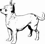 Chihuahua Openclipart sketch template