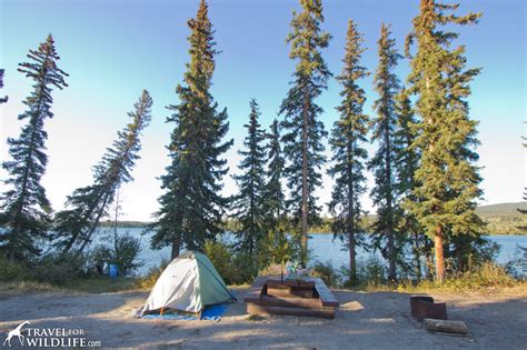 find  camping  bc canada travel  wildlife