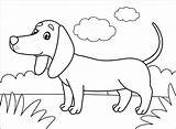 Dachshund Coloring sketch template
