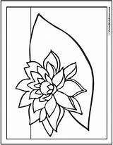 Lily sketch template