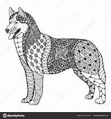 Hond Husky Mandala Zentangle Gestileerd Siberische sketch template