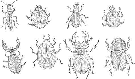types  bugs  black  white    insects head