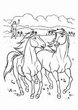 Coloriage Coloriages Ausmalbilder Colorier Pferde Ausmalbild Chevaux Amoureuse Dreamworks Paarden Raskrasil Paard Justcolor Klicke Craftwhack Animation Stable Magique Malvorlagen sketch template
