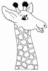 Giraffe Coloring Pages Head Sheets Kids sketch template