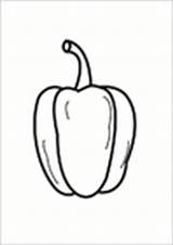 Coloring Pepper Pages Vegetables sketch template