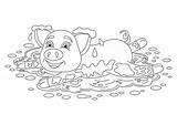Mud Pig Coloring Illustrations Clip Funny Vector Similar sketch template