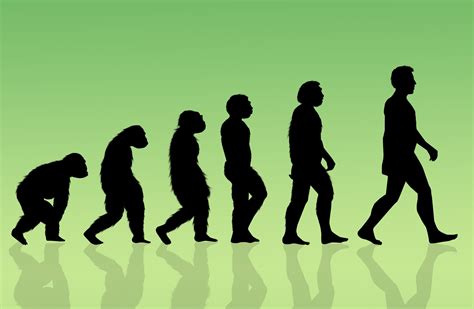 humans   evolvingand    happening faster