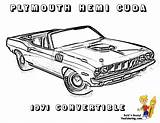 Coloring Plymouth Car Muscle Barracuda Pages Cars Cuda Yescoloring Gto Pontiac 153kb 1200 sketch template