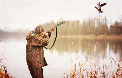 duck hunting gun bird hunting hunting guns hunting trip hunting essentials  close