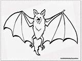 Bat Coloring Pages Realistic Clipart Drawing Flying Fruit Printable Wings Battleship Getcolorings Getdrawings Baseball Excellent Bats Webstockreview Color sketch template