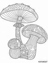 Coloring Adults Adult Mushroom Pages Mushrooms Mandala sketch template