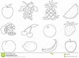 Salad Fruit Coloring Pages Getdrawings sketch template