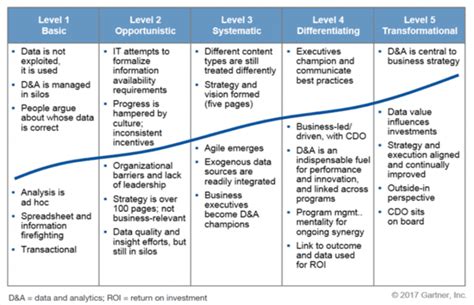 gartner maturity assessment