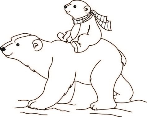 polar bears   polar bear coloring page polar bear color bear