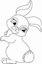 Konijn Colorare Coniglio Rabbit Koos Coniglietti Pascua Stockillustratie Vettoriali Knuffel sketch template