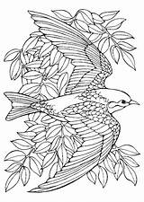 Coloring Pages Adult Bird Mandala Colouring Printable Adults sketch template