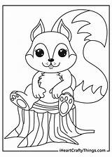 Squirrels Squirrel Iheartcraftythings sketch template
