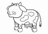 Kuh Mucca Koe Colorare Malvorlage Vaca Colouring Nursery Stall Ausmalbilder Artigianato Disegni Educolor Schulbilder Große Grote Descargar sketch template