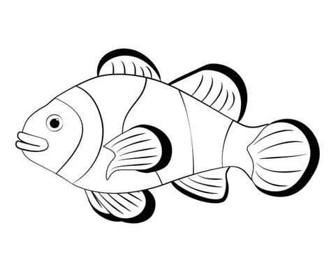 clownfish printable coloring page  printable coloring pages