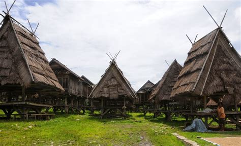home art design rumah adat khas suku bima uma lengge wawo