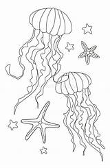 Jellyfish Starfish sketch template