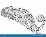 Chameleon Coloring Vector Adults Book Zentangle Adult Illustration Animal Style Lizard Preview sketch template