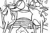 Catdog Coloring Pages Eat Dinner Fish Cat Want sketch template