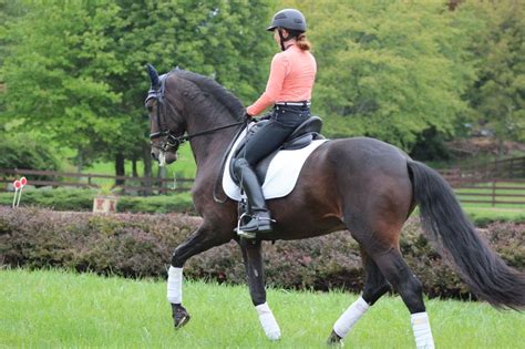 The Secret To Free Forward Collection Dressage