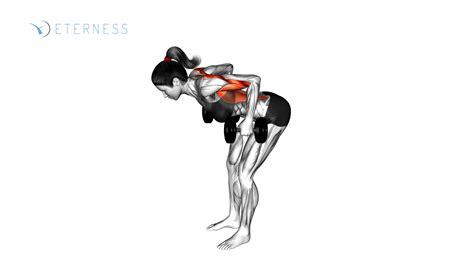 Dumbbell Bent Over Row Eterness