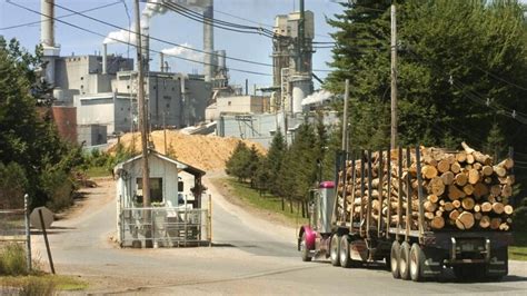 paper mill  receive upgrades   investment plan