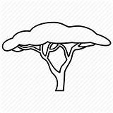 Tree Acacia Safari Savannah Drawing Africa Icon Plains Trees Silhouette Clipart Plain Drawings Icons Getdrawings Outlines Tortilis Vachellia Iconfinder Which sketch template