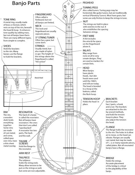 bluegrass banjo  beginners accessories
