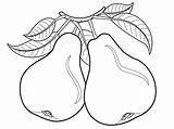 Coloring Pears Pear Color Sheet Pages Printable Onlinecoloringpages Getdrawings sketch template