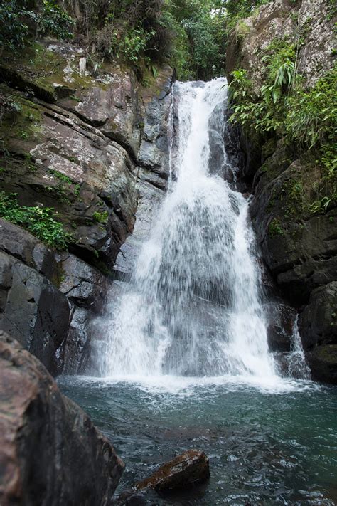 El Yunque National Forest Río Grande Puerto Rico