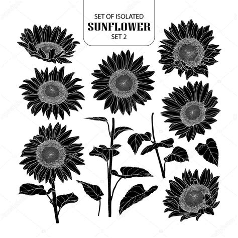 svg sunflower outline svg  file  silhouette