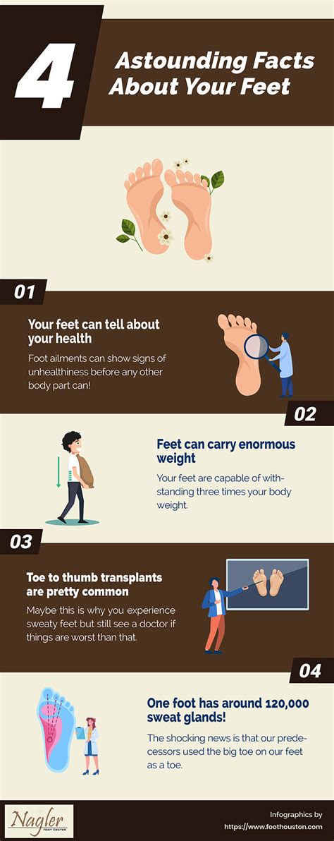 4 Astounding Facts About Your Feet Foot Houston