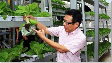 vertical farming singapores solution  feed  local